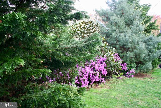 132 Cascade Road Springfield, PA 19064 - Photo 53 of 65 colorful backyard