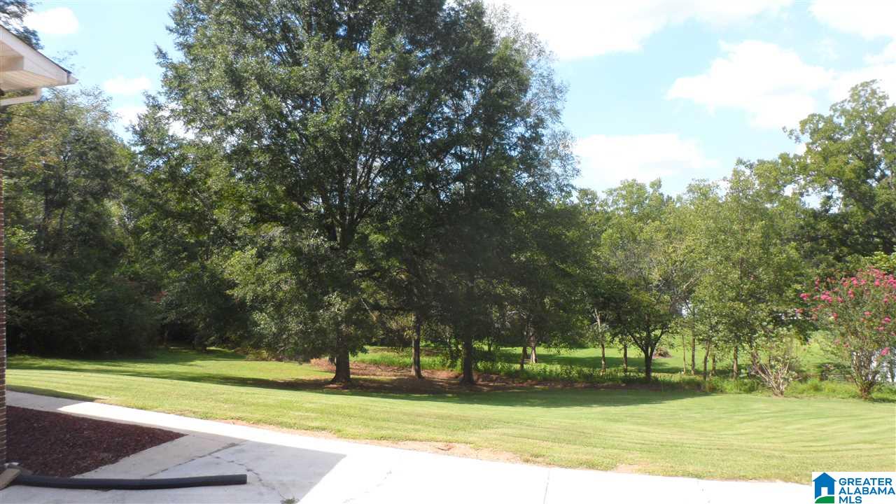 165 Ketchum Road Blountsville, AL 35031 - Photo 4 of 16