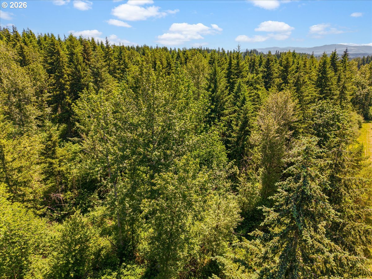 27737 Southeast Currin Road Estacada, OR 97023 - Photo 40 of 40