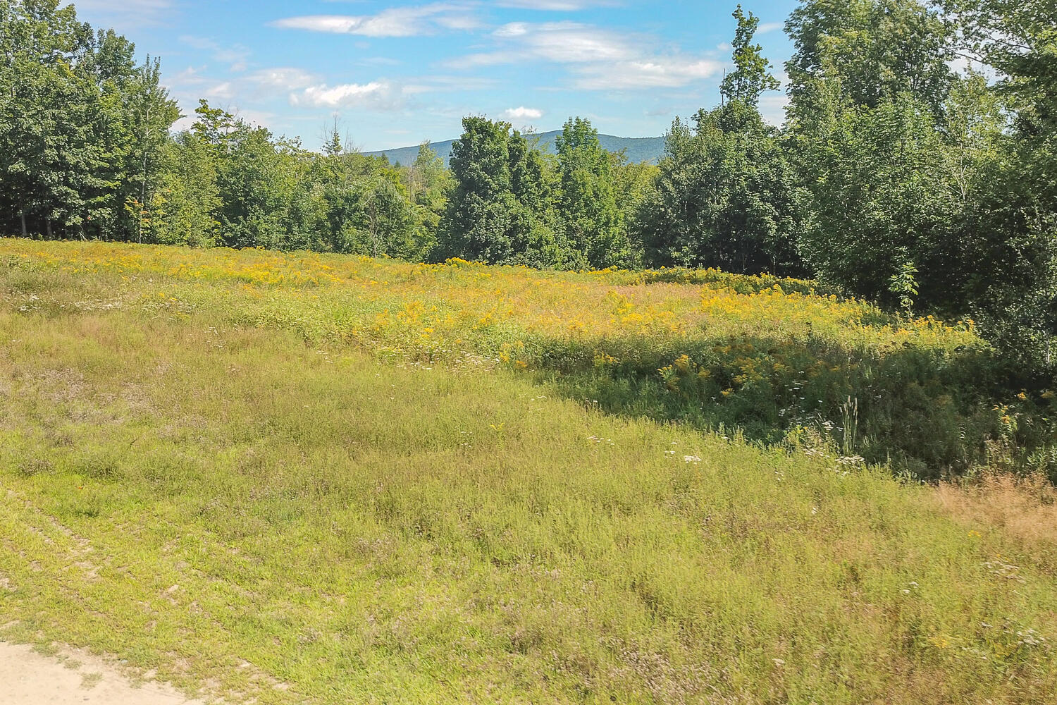 Tbd Daisy Bryant Road Bethel, ME 04217 - Photo 6 of 28 Locke Mtn Rd Bethel 05-(ZF-9778-14346-1-