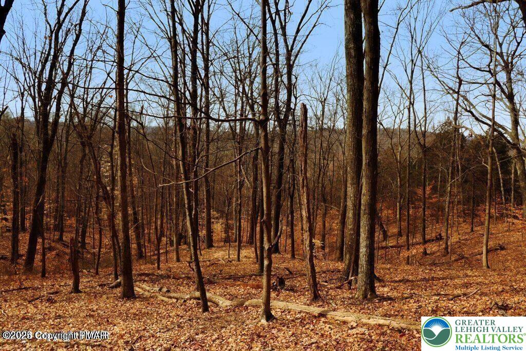 407 Pinetree Road Albrightsville, PA 18210 - Photo 14 of 18 a view of outdoor space with lots of trees