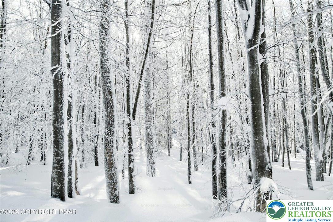 407 Pinetree Road Albrightsville, PA 18210 - Photo 16 of 18 a view of covered with snow
