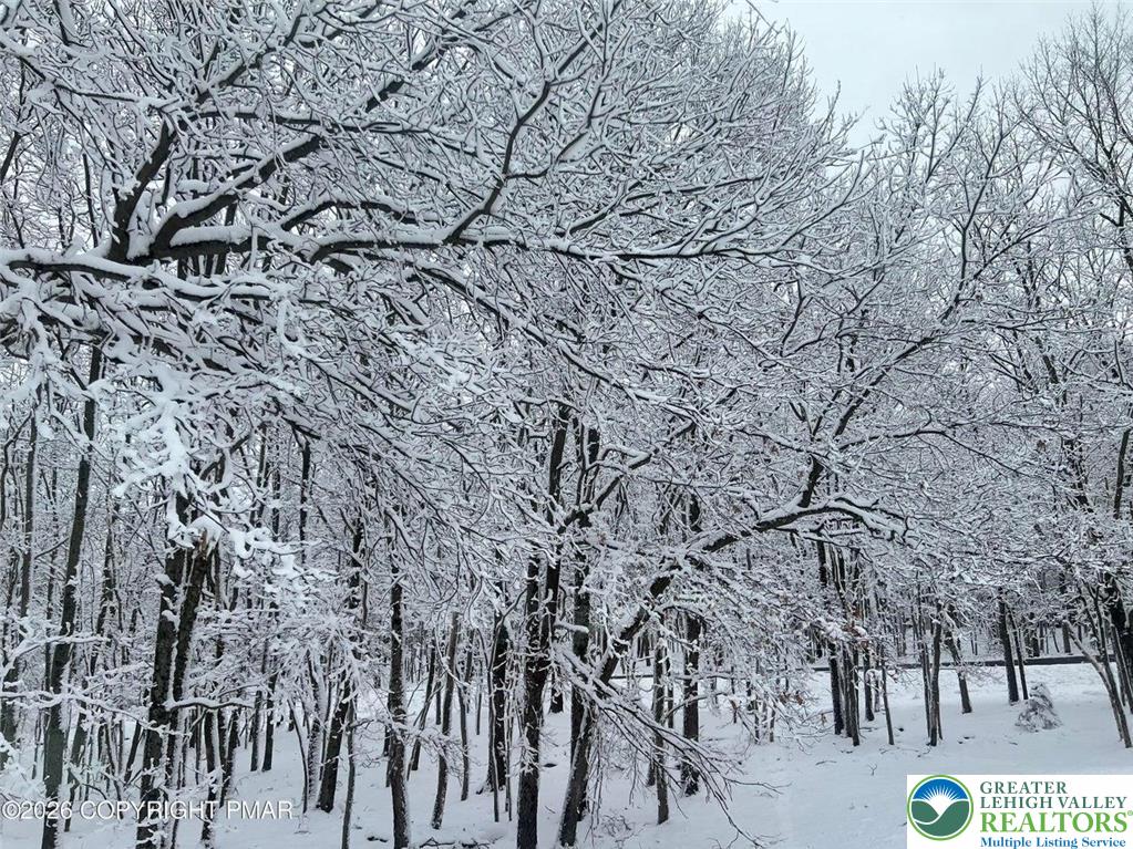407 Pinetree Road Albrightsville, PA 18210 - Photo 17 of 18 a view of a yard with a trees