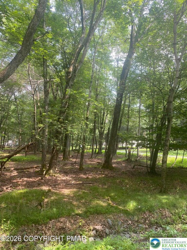 407 Pinetree Road Albrightsville, PA 18210 - Photo 2 of 18 a view of yard with green space