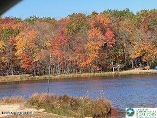 407 Pinetree Road Albrightsville, PA 18210 - Photo 6 of 18 a view of a yard with trees in the background