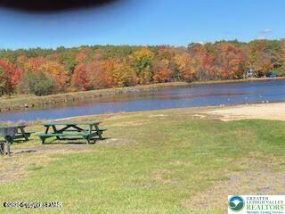 407 Pinetree Road Albrightsville, PA 18210 - Photo 8 of 18 a view of an outdoor space and mountain view