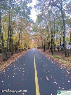 407 Pinetree Road Albrightsville, PA 18210 - Photo 9 of 18 a view of outdoor space and yard