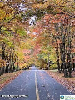 407 Pinetree Road Albrightsville, PA 18210 - Photo 10 of 18 a view of a yard with plants and trees
