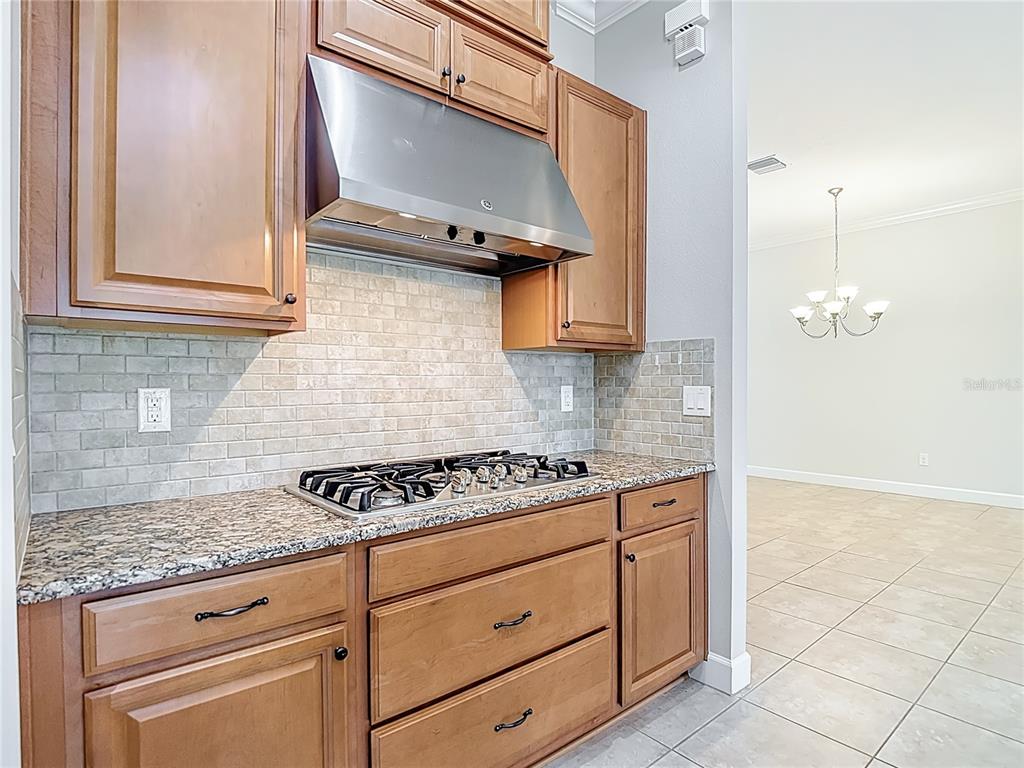 8613 Grand Alberato Road Tampa, FL 33647 - Photo 15 of 56