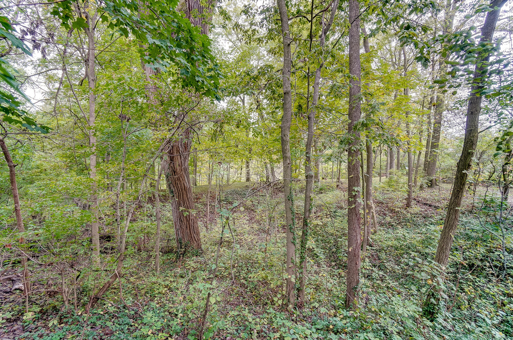 1970 Shawnee Road Lima, OH 45805 - Photo 63 of 67 Gallery Image 63
