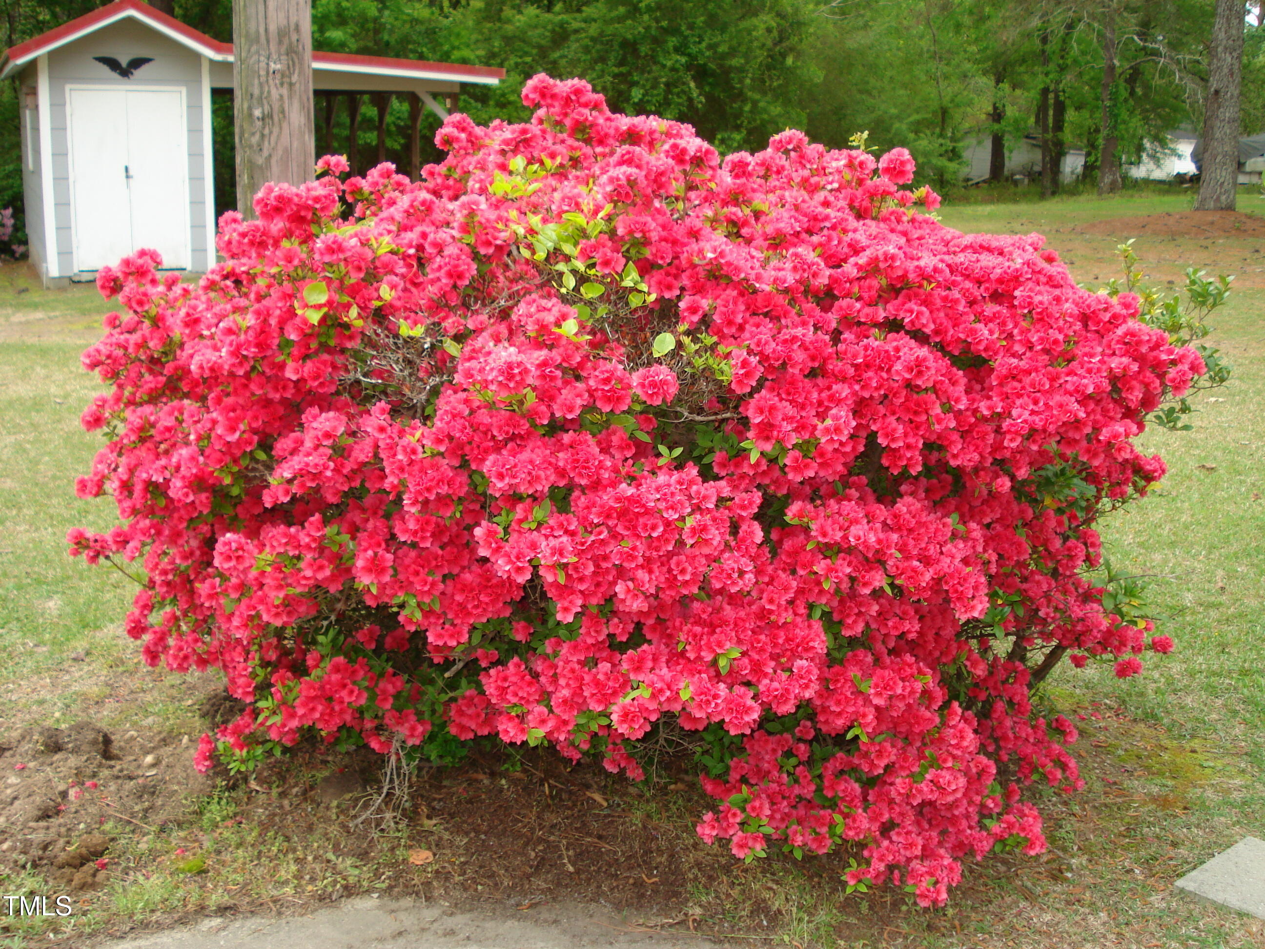136 Scramble Road Erwin, NC 28339 - Photo 22 of 40 DSC08129