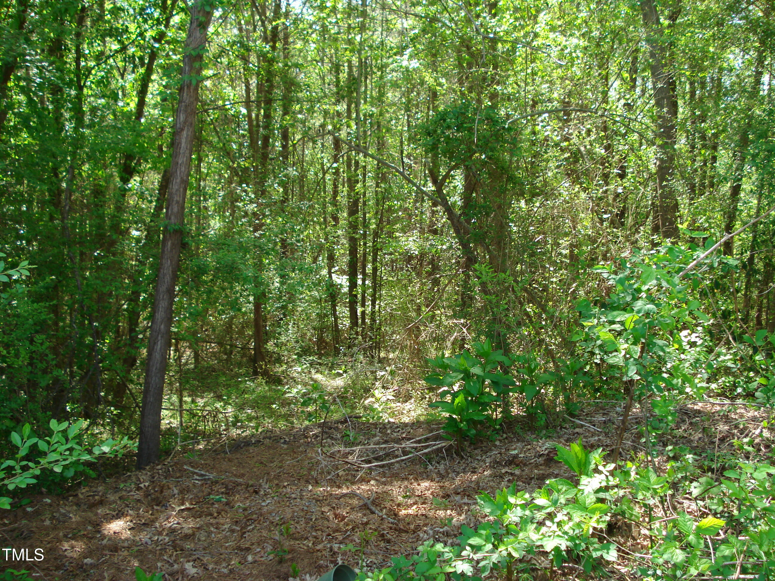 136 Scramble Road Erwin, NC 28339 - Photo 23 of 40 DSC08059