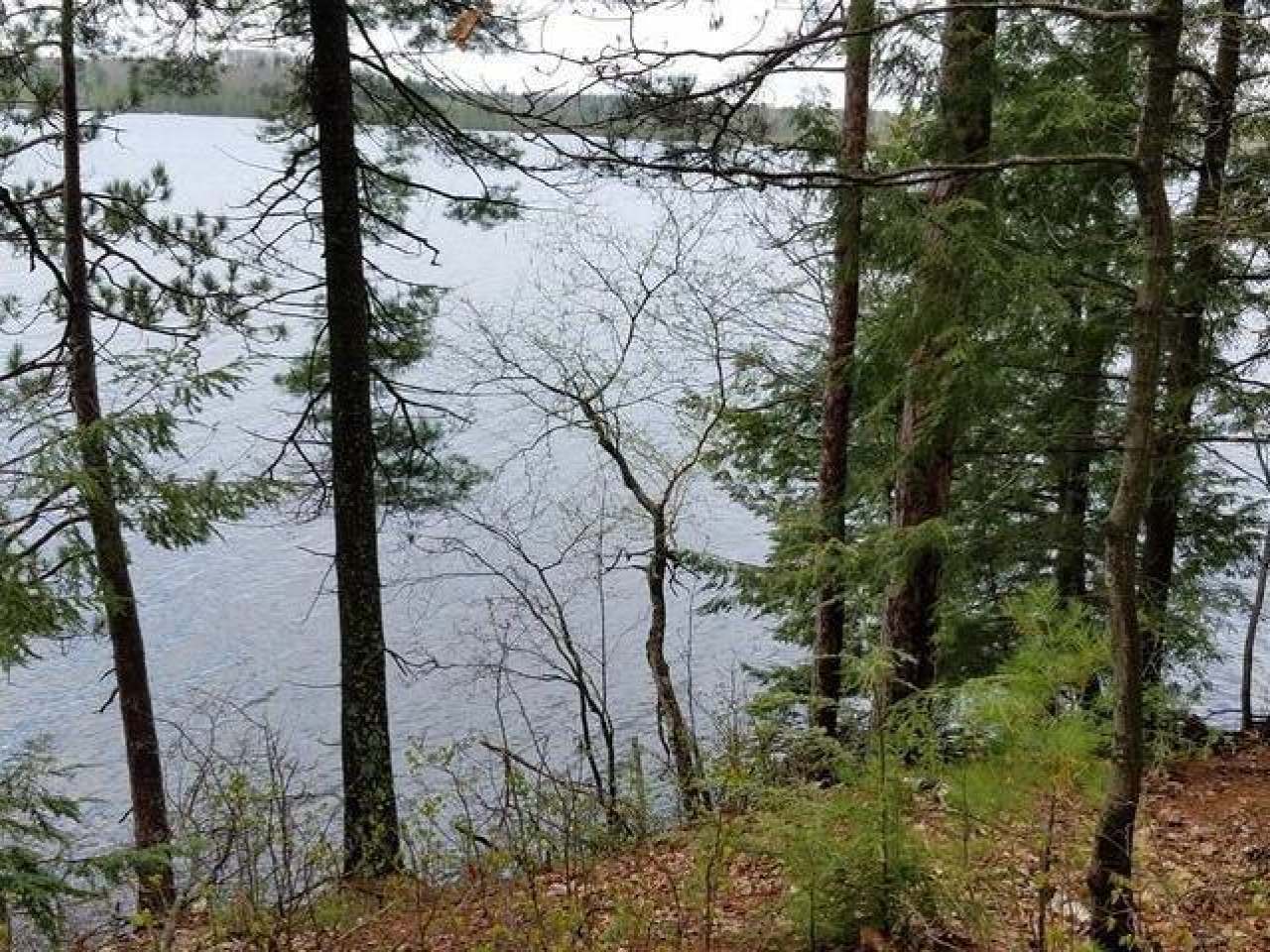 Lot 2 Kobart Road Minocqua, WI 54548 - Photo 4 of 11 Gallery Image 4