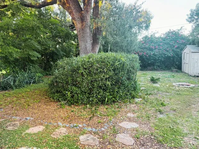 a view of a yard with plants and large trees