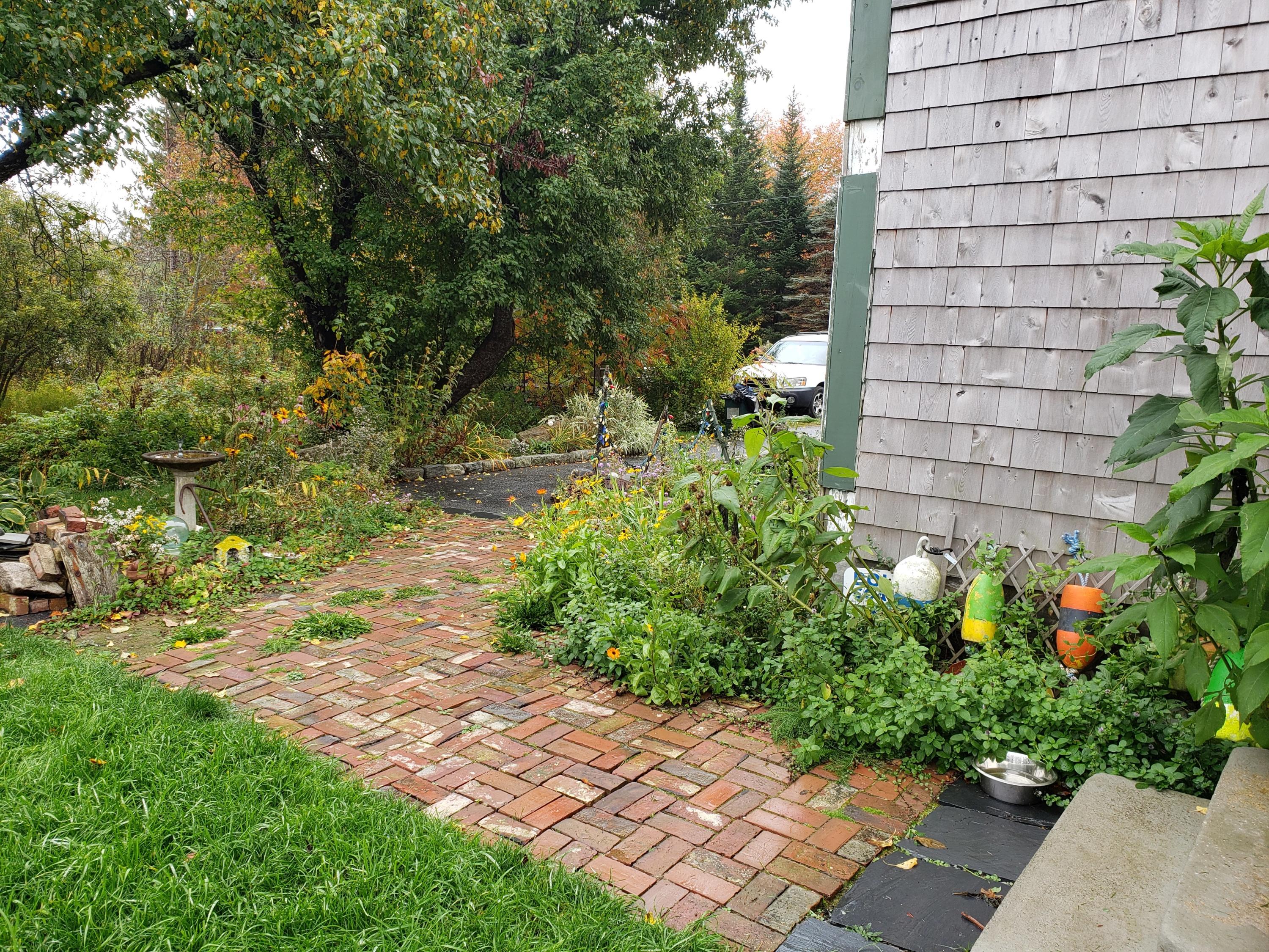12 Rim Road Milbridge, ME 04658 - Photo 29 of 30 walkway