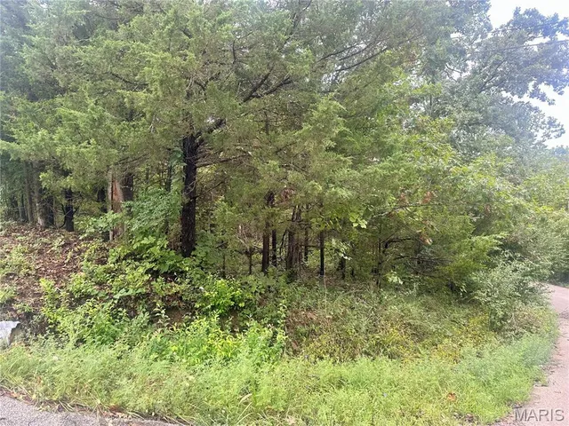 $7,900 | 0 Zeus Place, De Soto, MO 63020