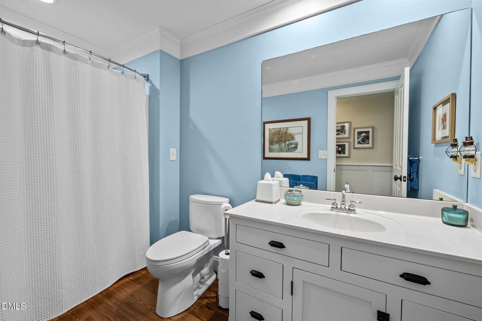 515 Oak Pointe Drive Semora, NC 27343 - Photo 43 of 66 a bathroom with a sink a toilet and a mirror