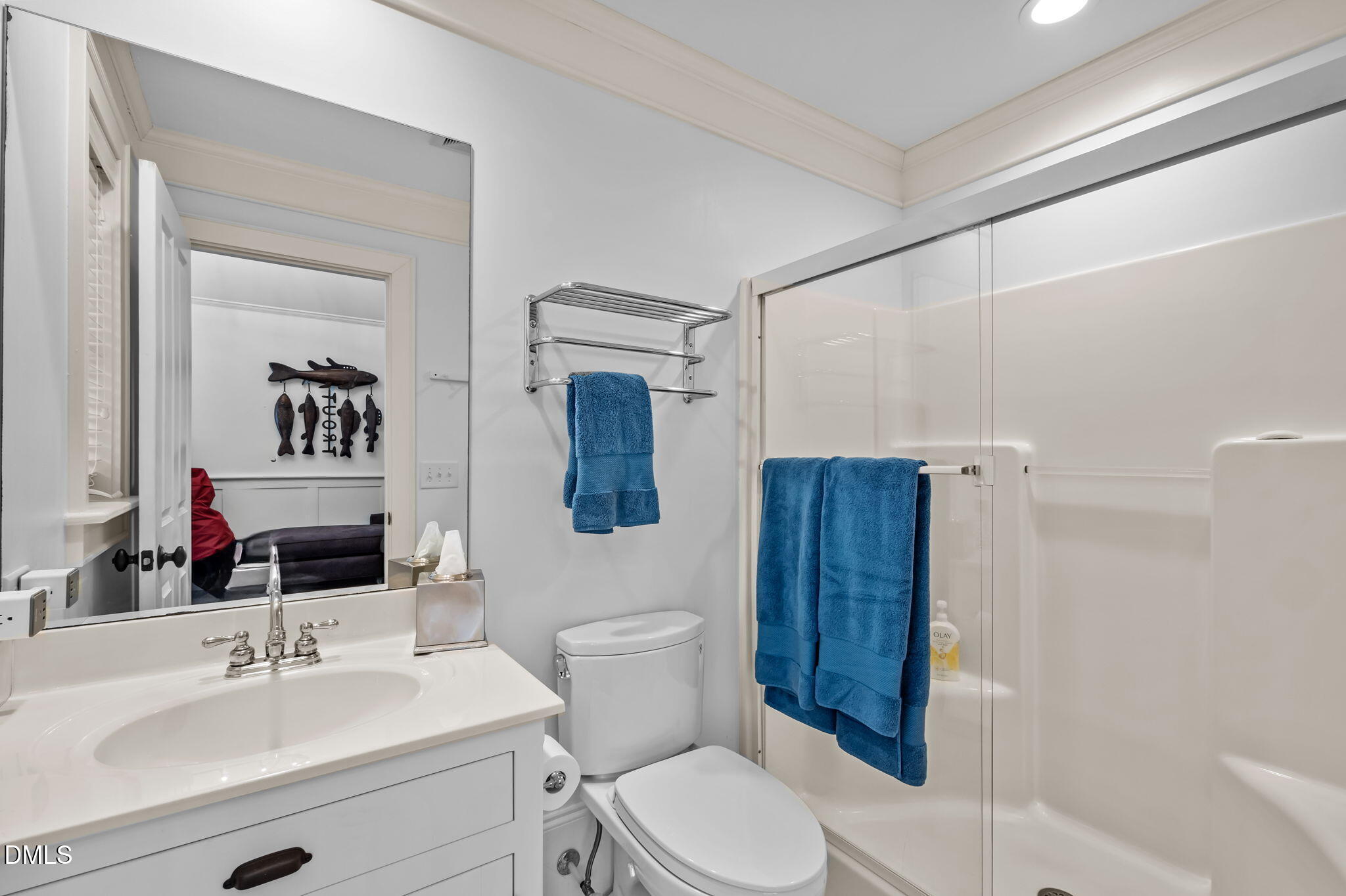 515 Oak Pointe Drive Semora, NC 27343 - Photo 47 of 66 a bathroom with a sink a toilet and shower