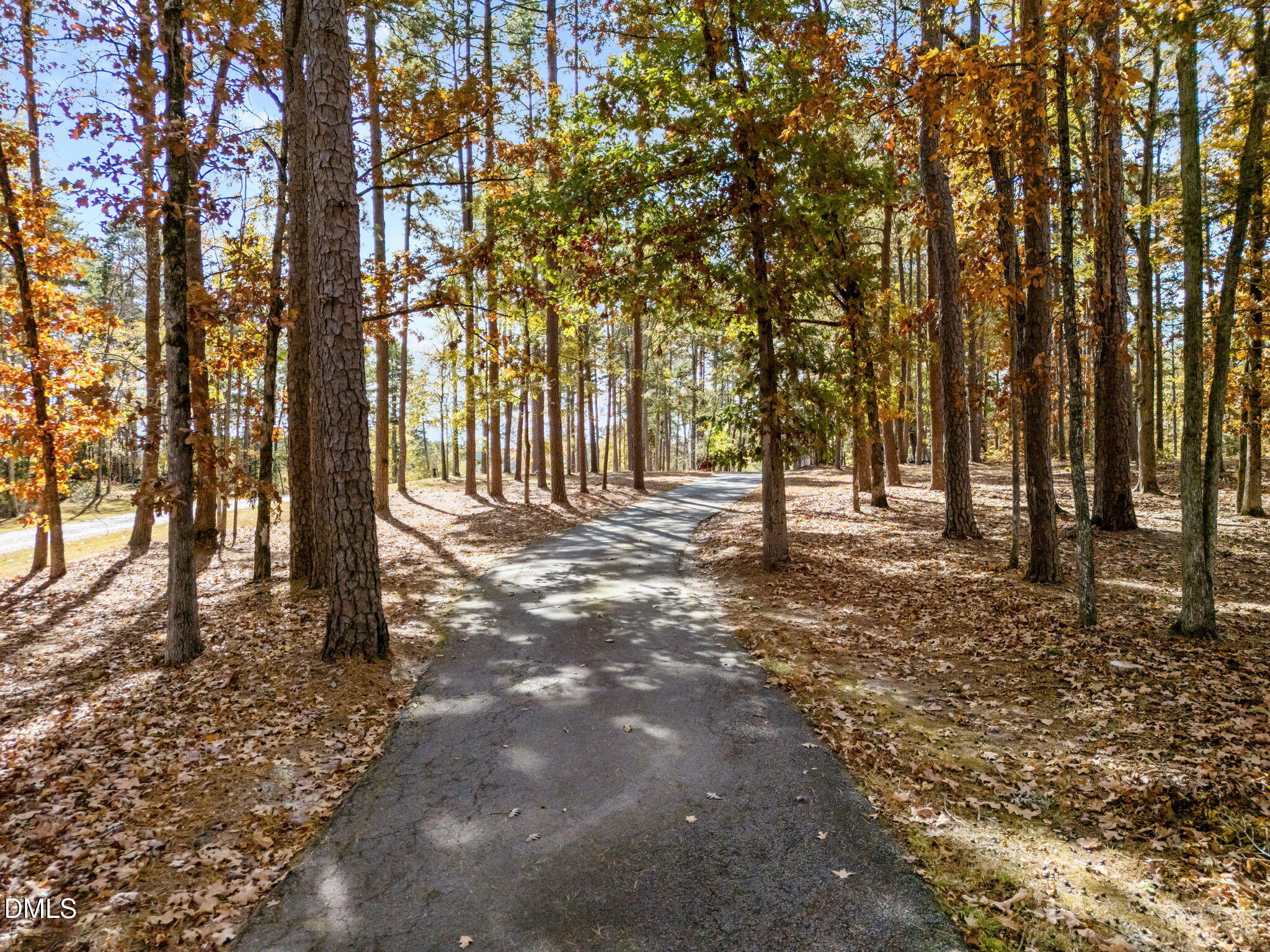 515 Oak Pointe Drive Semora, NC 27343 - Photo 59 of 66 a view of outdoor space with street view