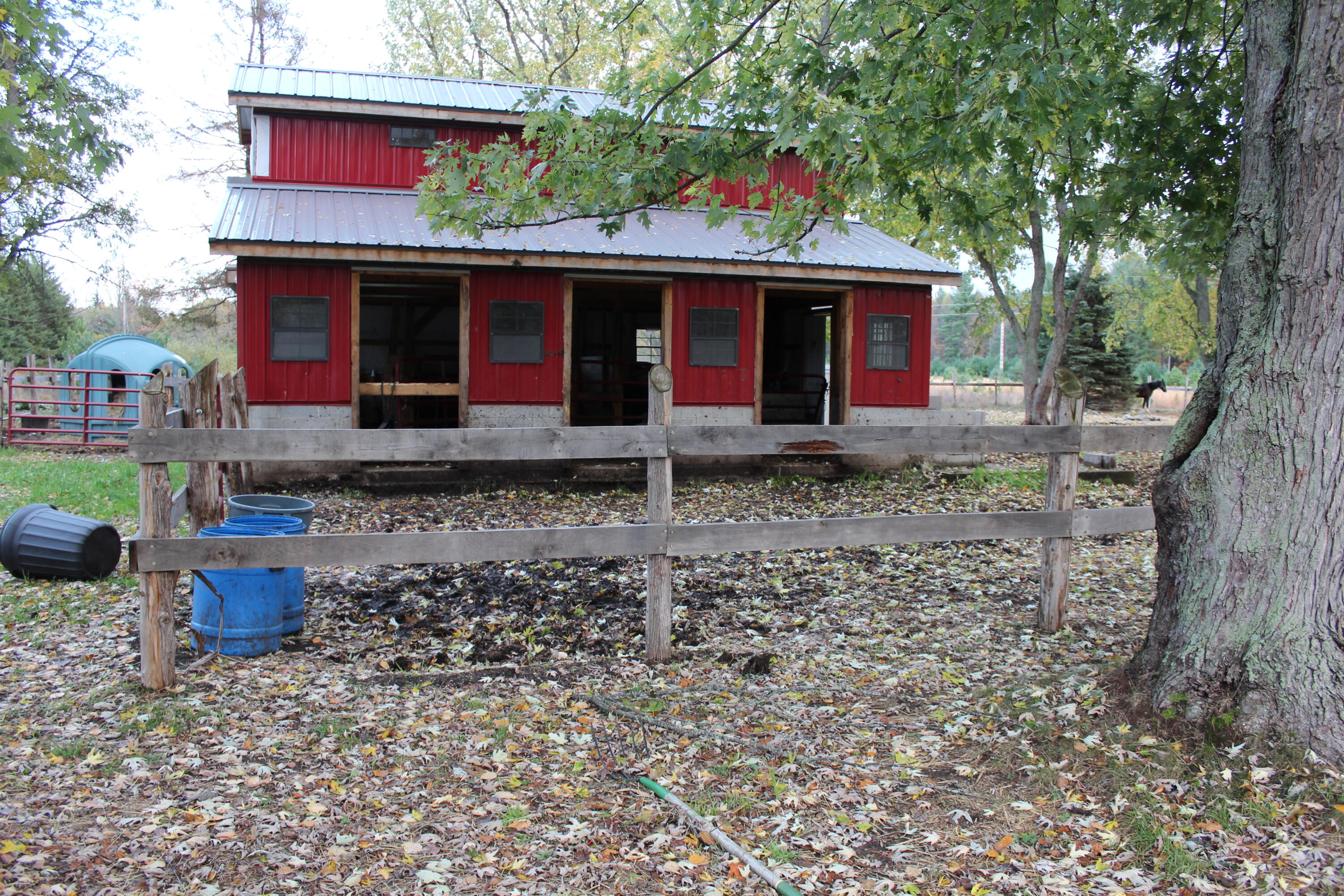 15527 9 Mile Road Kaleva, MI 49645 - Photo 16 of 31 Barn