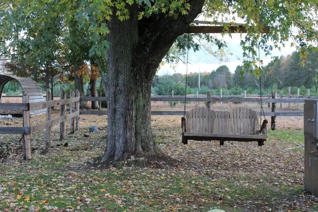 $150,000 | 15527 9 Mile Road, Kaleva, MI 49645