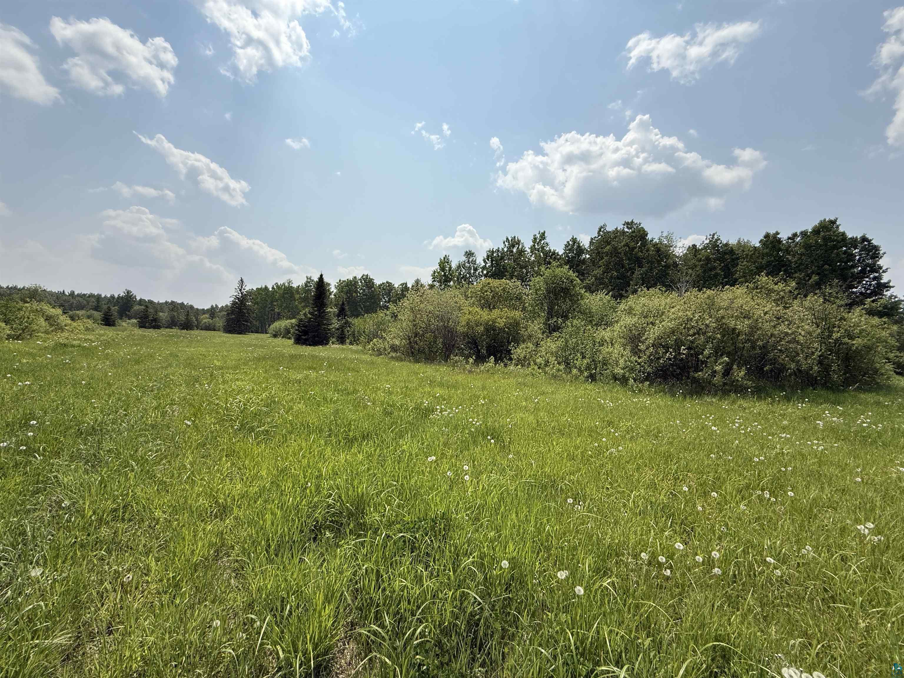 Tbd Samuelson Road Angora, MN 55703 - Photo 31 of 43 View of local wilderness featuring rural landscape