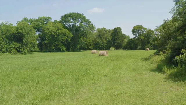 a view of a field with trees in the background