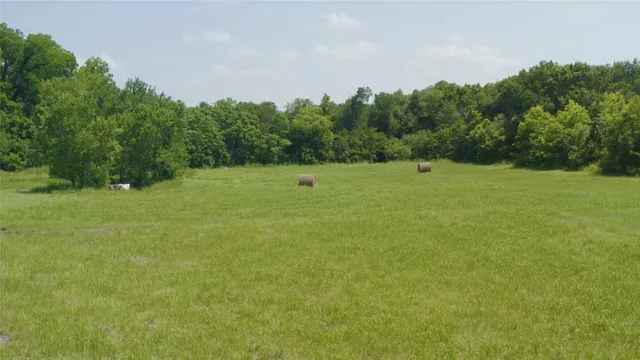 a view of outdoor space with garden and trees