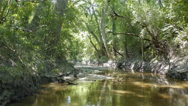 a view of lake with green space