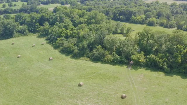 a view of a small yard