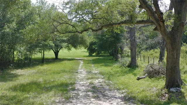 a view of outdoor space with a garden