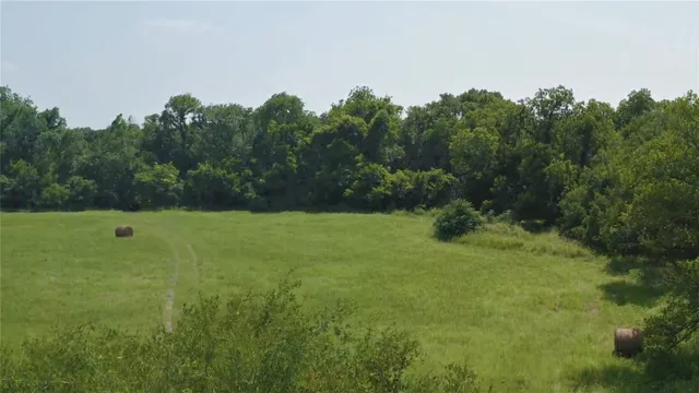 a backyard of a house with lots of green space