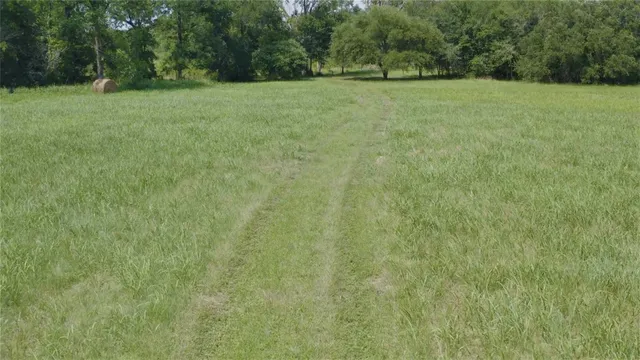 a view of a field with trees in the background