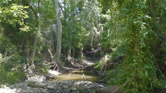 a backyard of a house with lots of trees