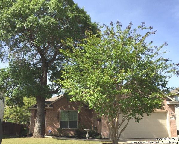 a view of outdoor space yard and tree
