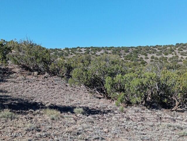 2121 County Road Concho, AZ 85924 - Photo 5 of 9 a view of a dry yard with mountains in the background
