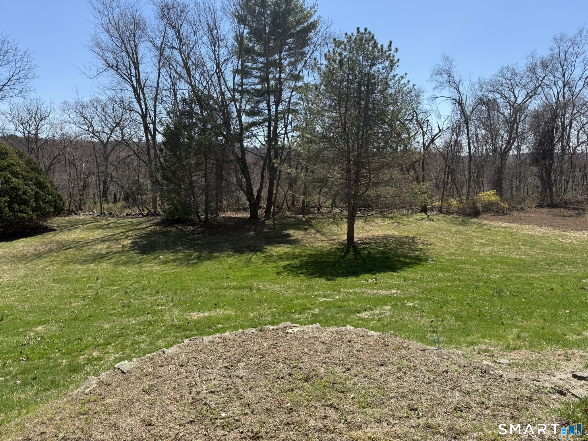61 Soundview Avenue Shelton, CT 06484 - Photo 30 of 33 a view of backyard with green space