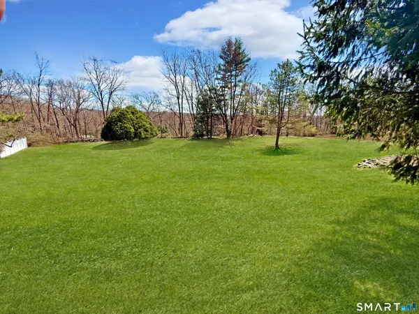 a view of a garden