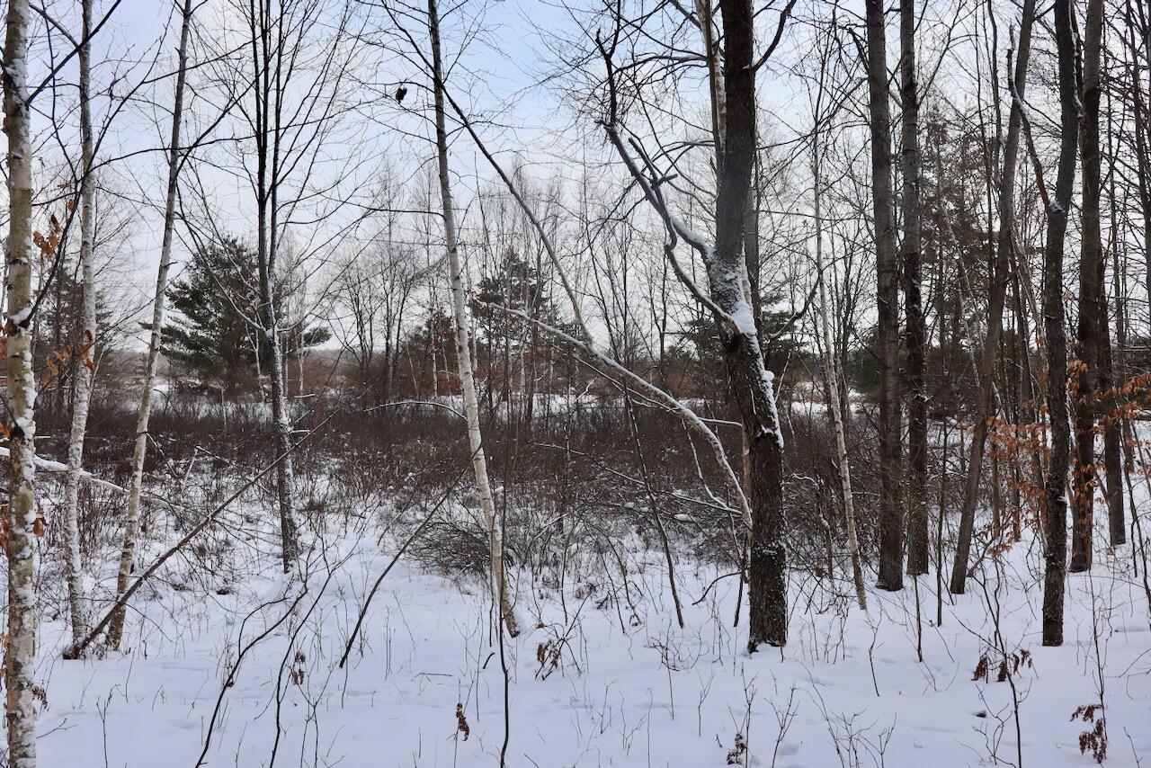 6182 Hamilton Road Harrison, MI 48625 - Photo 47 of 56