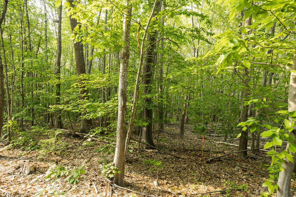 247 Mountain Road, Unit A Cape Neddick, ME 03902 - Photo 10 of 18 247 A Mountain Rd, Cape Neddick