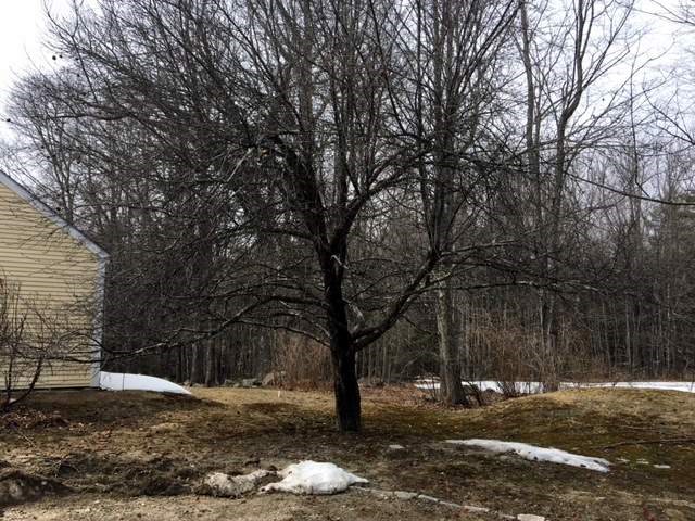 738 North Line Road Tuftonboro, NH 03816 - Photo 21 of 30