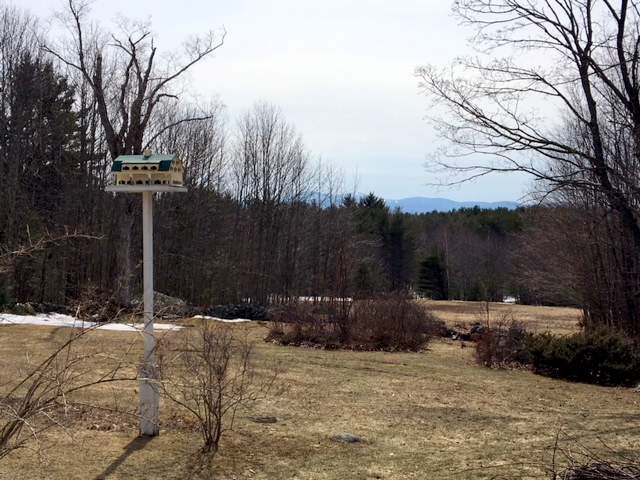 738 North Line Road Tuftonboro, NH 03816 - Photo 25 of 30
