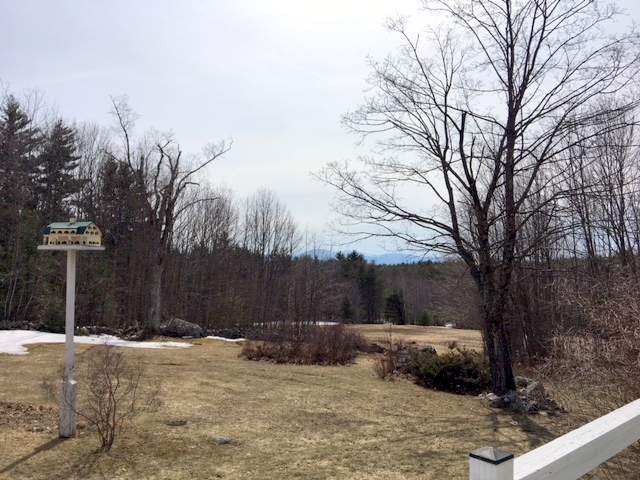 738 North Line Road Tuftonboro, NH 03816 - Photo 27 of 30