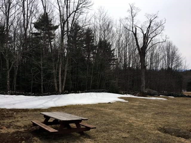 738 North Line Road Tuftonboro, NH 03816 - Photo 28 of 30