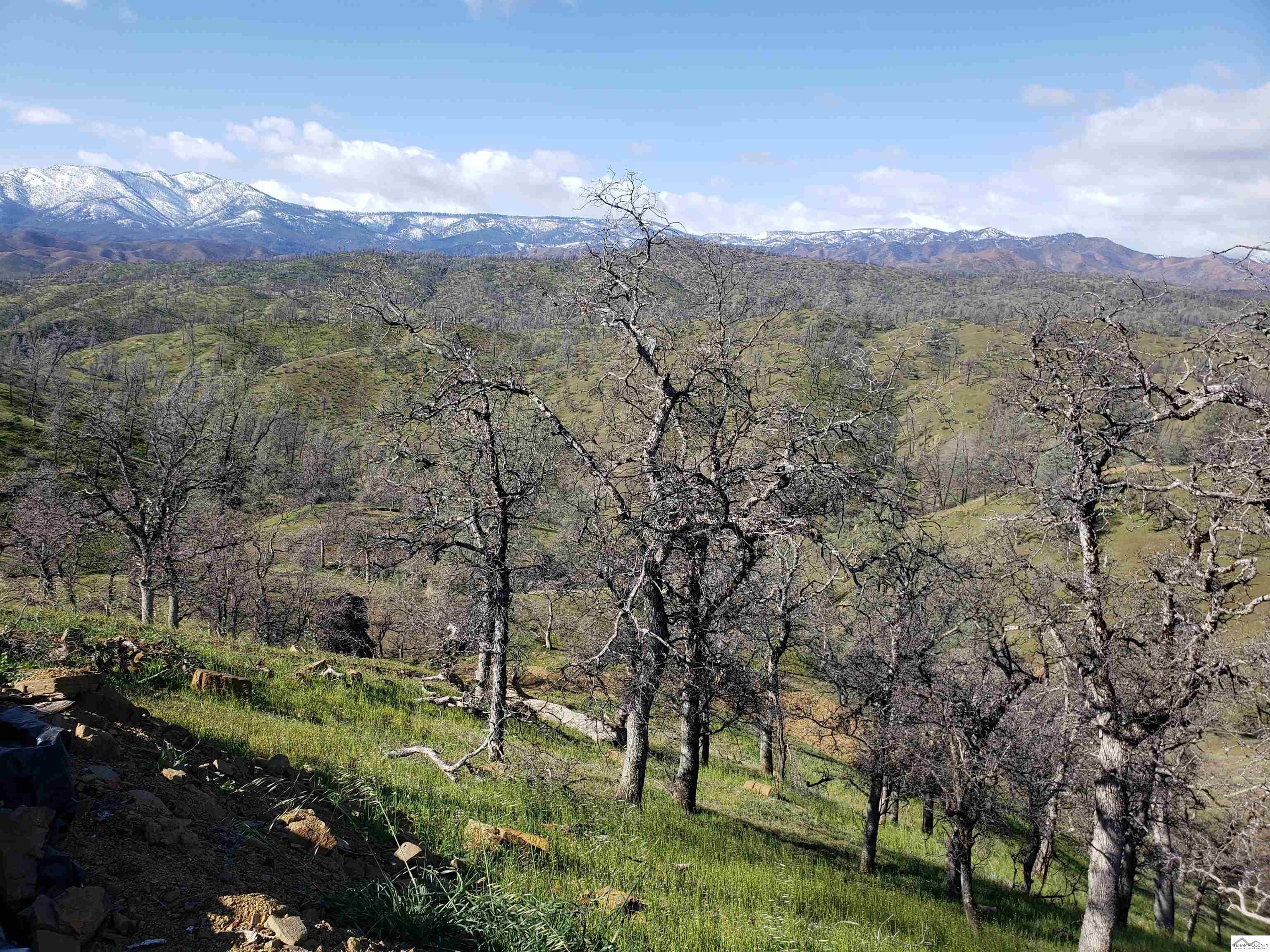 0 Vestal Road, Unit WELLS CREEK RANCHES Red Bluff, CA 96080 - Photo 8 of 45