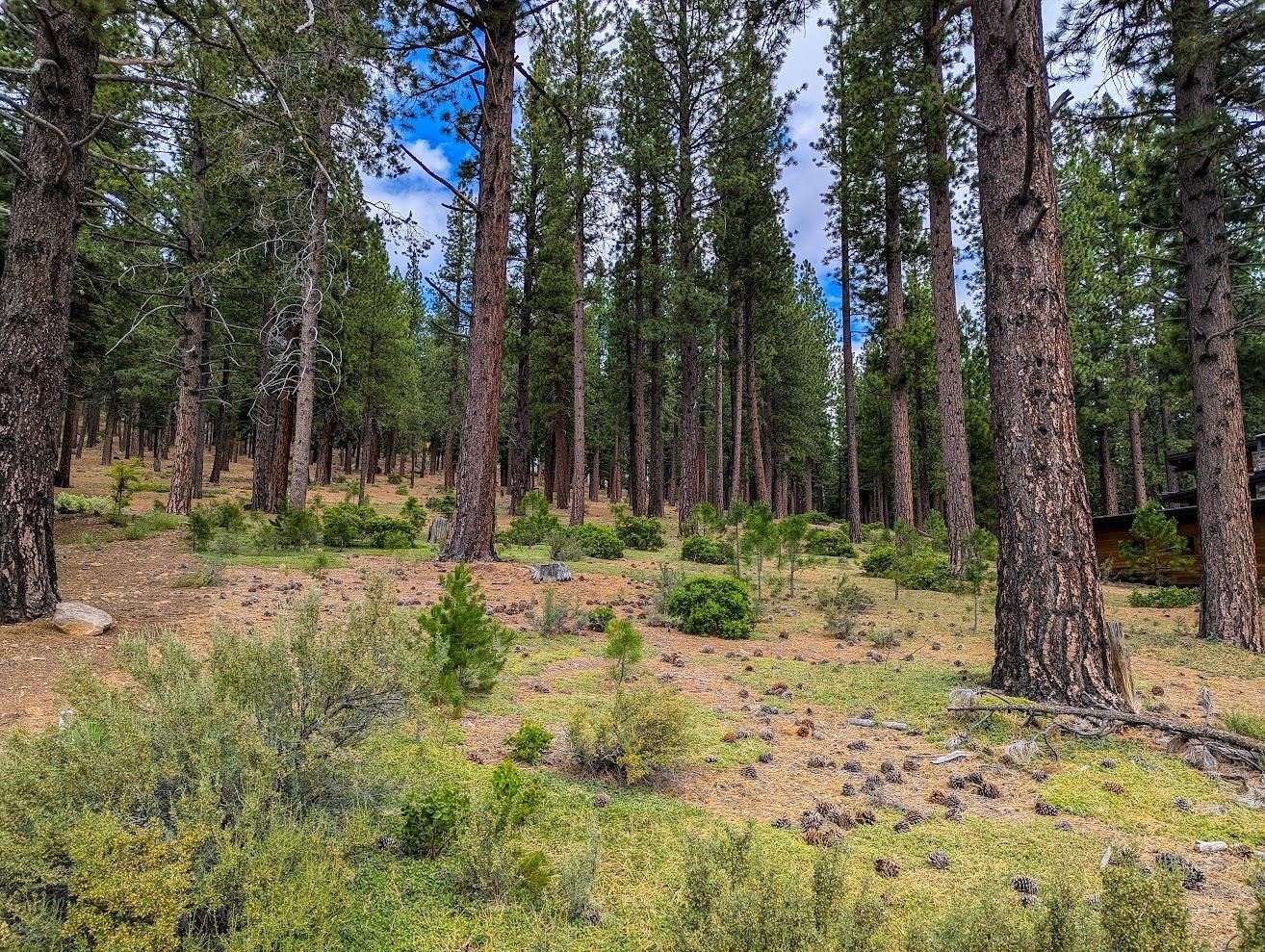 11360 Ghirard Road Truckee, CA 96161 - Photo 3 of 8