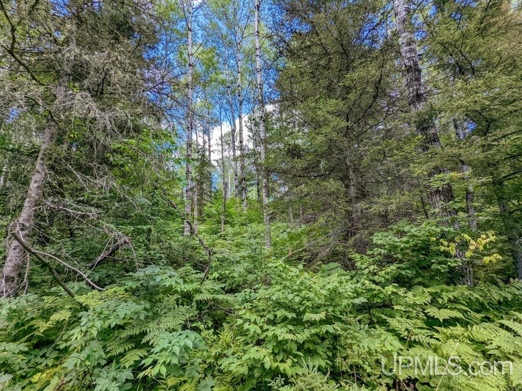 1 Rd Channing Mi 49815 Road Crystal Falls, MI 49920 - Photo 12 of 16 Gallery Image 12
