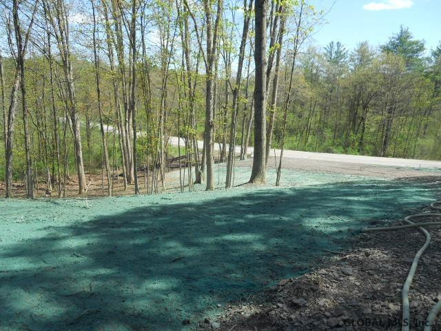 0 Peters Road Gansevoort, NY 12831 - Photo 4 of 18 Photo 4