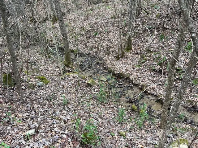 a backyard of a building