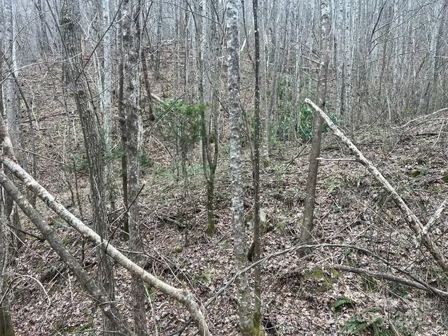 $29,750 | 0 English Setter Trail, Unit LOT 8, Whittier, NC 28789